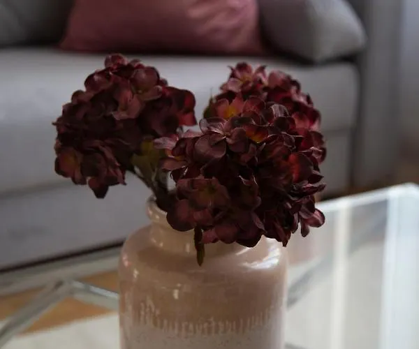 דירה Luxury 3bedrm 2bathrm With Danube River View