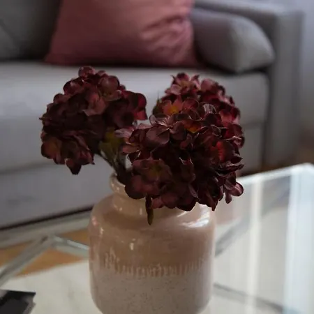 Lägenhet Luxury 3bedrm 2bathrm With Danube River View